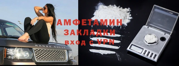 сатива Аркадак