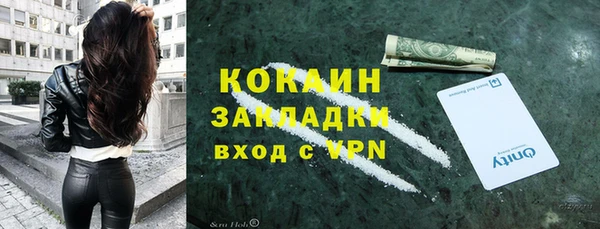 сатива Аркадак